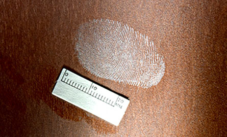 Fingerprint on Door