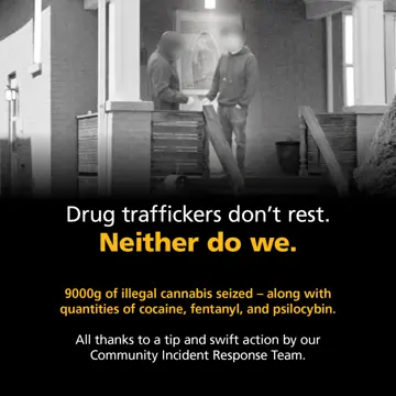 Project Wool Infographic