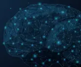 illustration of brain with various shades of blue