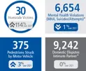 30 homicide victims, 6,654 MH violations, 375 pedestrians struck, 9,242 intimate partner disputes